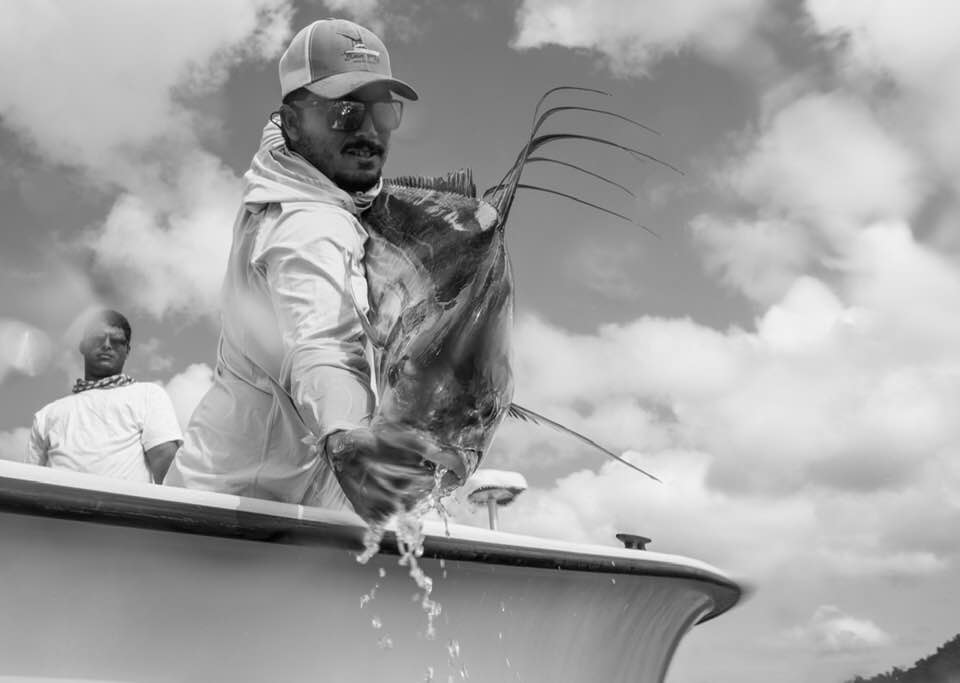 Costa Rica roosterfish